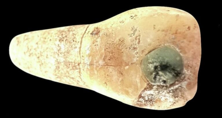 Tooth With Jade Inlay Featured