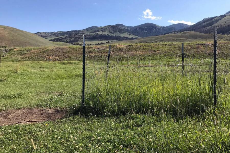 Yellowstone Fixed Enclosure