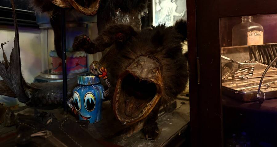Inside Trundle Manor, Pittsburgh’s Bizarre Museum Of Oddities That Displays...