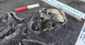 Borkowo Cemetery Remains Featured