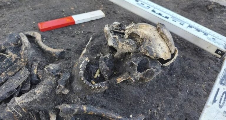 Borkowo Cemetery Remains Featured