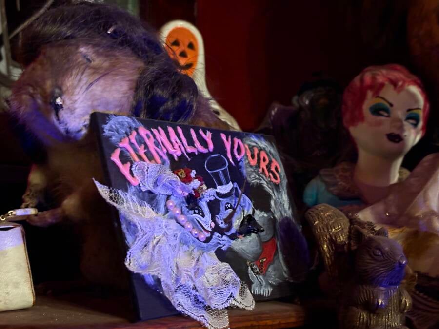 Eternally Yours Taxidermy Squirrels