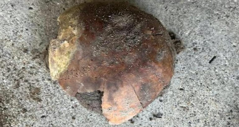 Featured Ancient Skull In Indiana