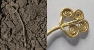 Gold Brooch At Troy Featured