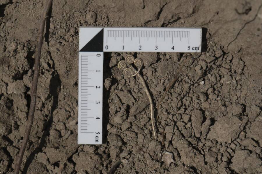 Gold Brooch Found In Troy