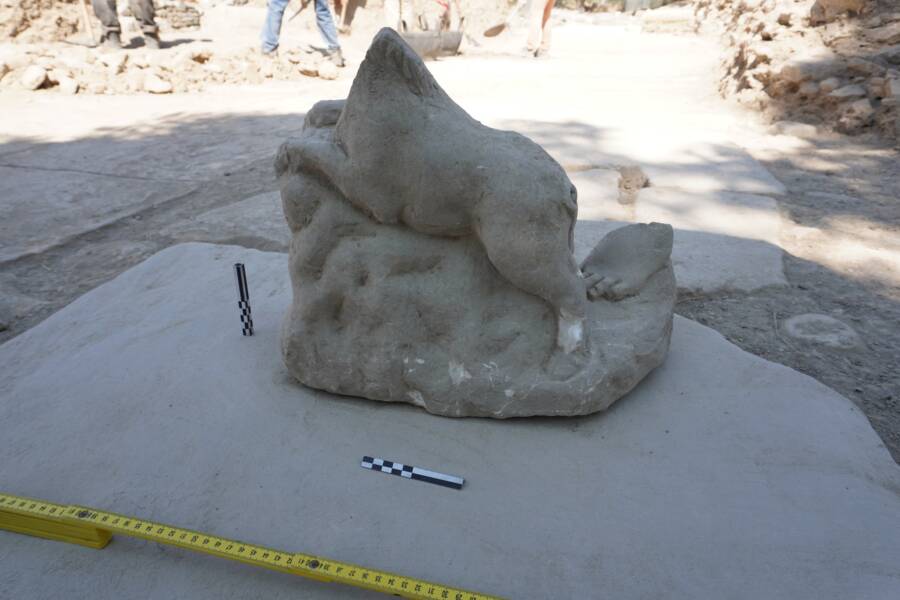 Ancient Greek Pig Statue