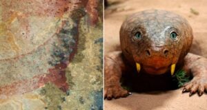 Horned Serpent Rock Art Featured