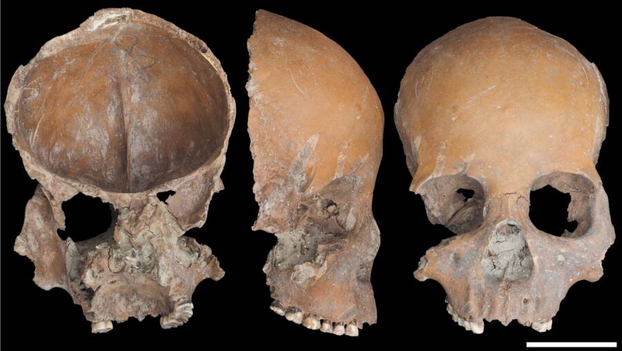 Skull Mask