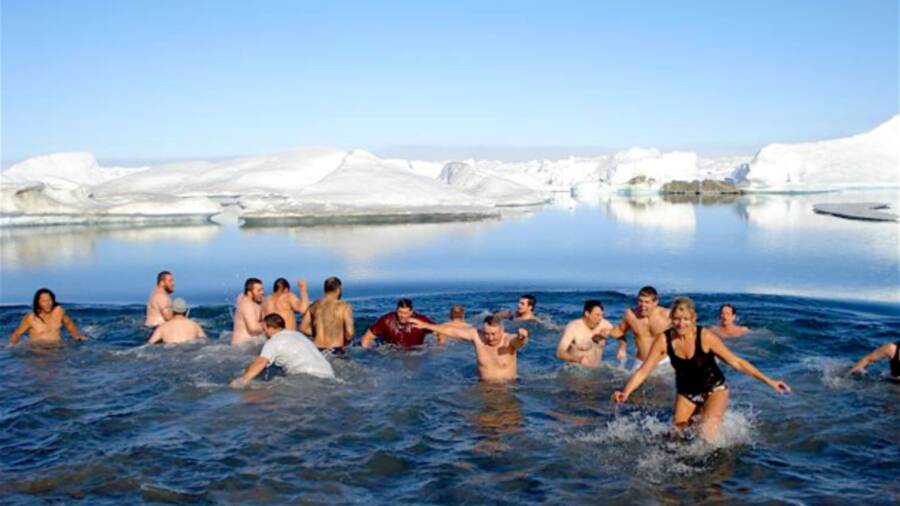Polar Bear Plunge Alert