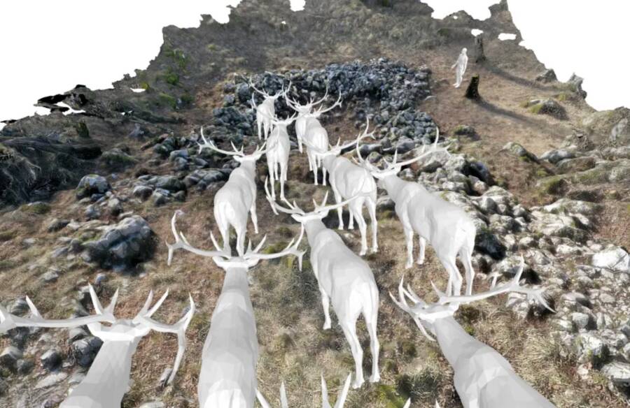 Oldest And Largest Hunting Traps In Europe