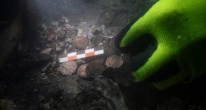 Roman Coins Featured