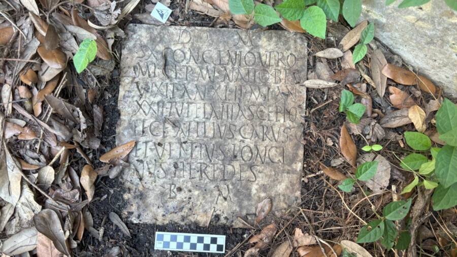 Roman Gravestone In New Orleans