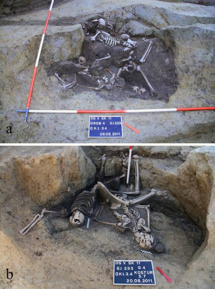 Osijek Croatia Roman Soldier Skeletons