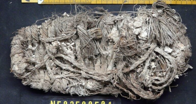 Sandal Found In Bearded Vulture Nest Featured