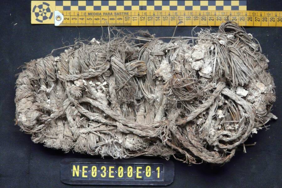 Sandal Found In Bearded Vulture Nest