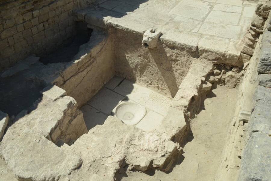 Spout And Fermentation Pool