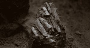 Stone Age Hunter Toolkit Featured