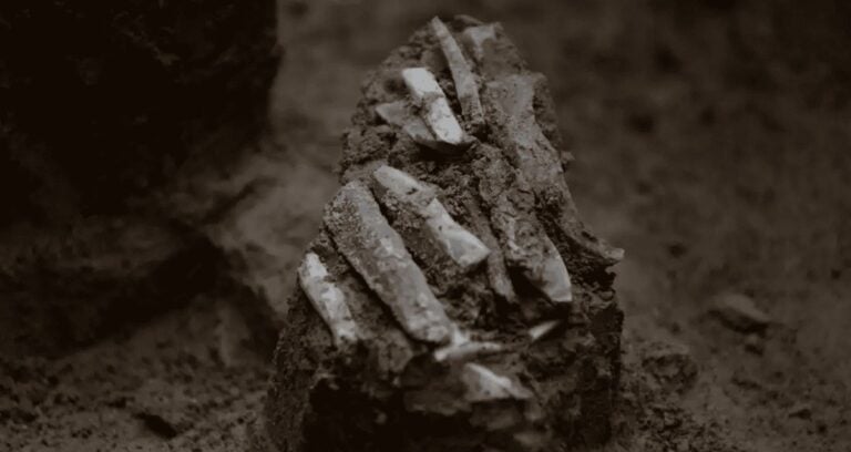 Stone Age Hunter Toolkit Featured