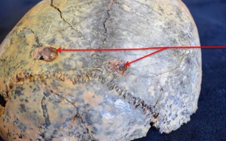 Human Ancestors Eaten By Leopards