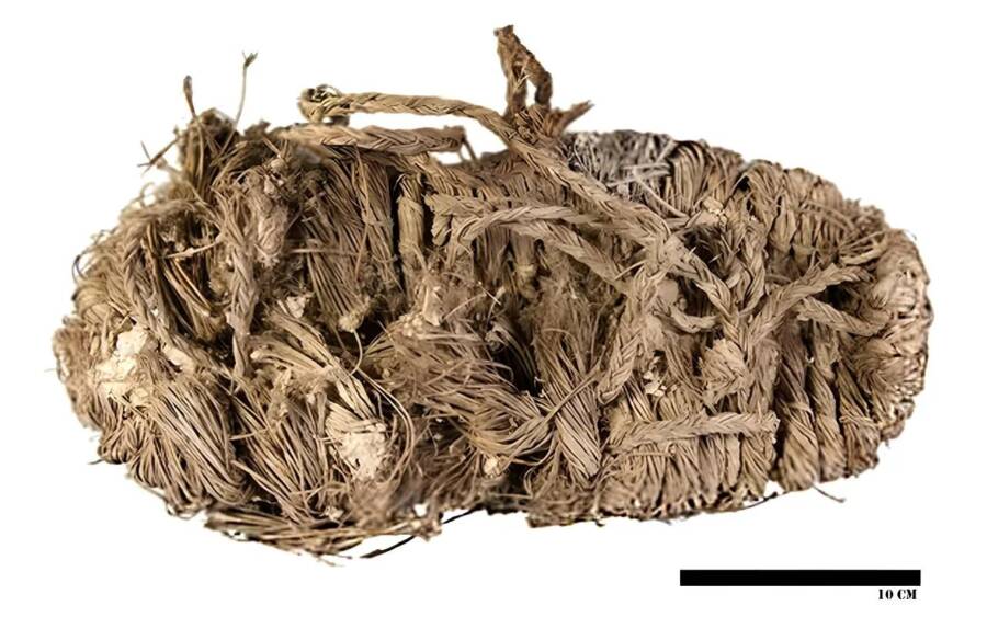 Medieval Sandal Found In Vulture Nest