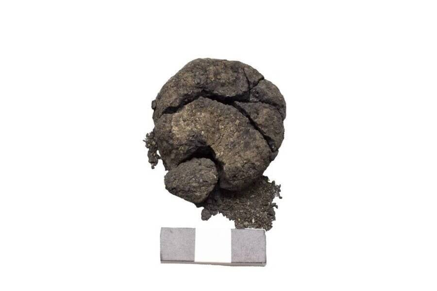 World's Oldest Bread
