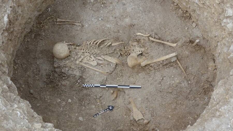 Celtic Girl Buried In Dorset