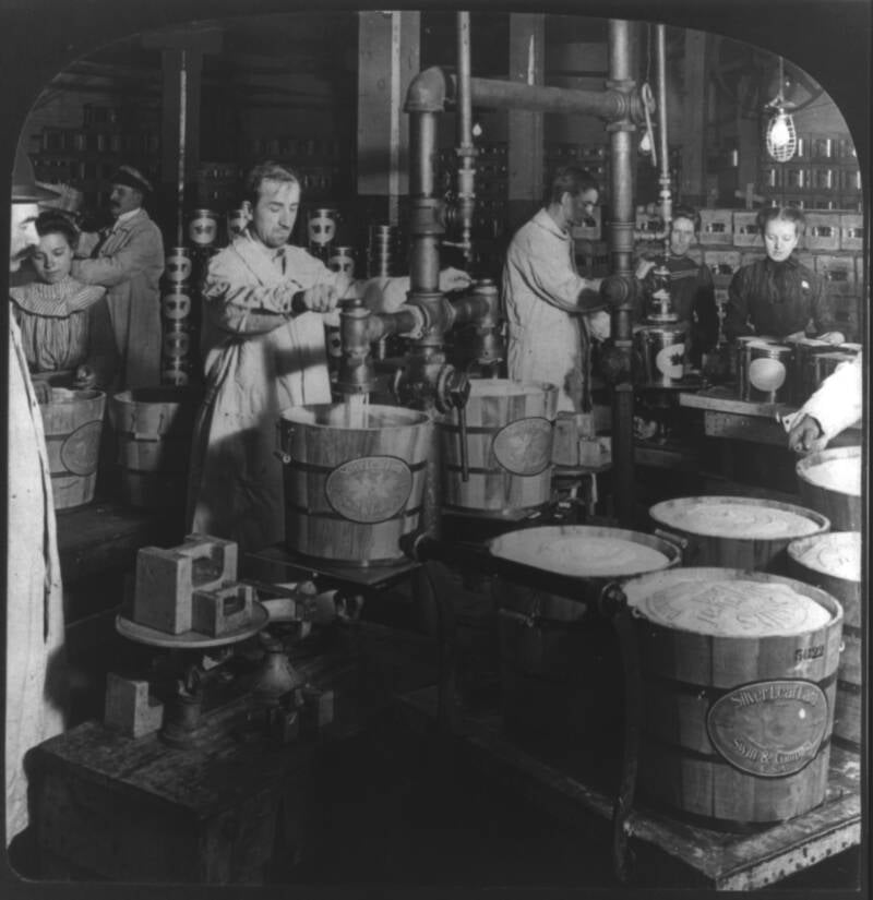 Lard In A Meatpacking Plant