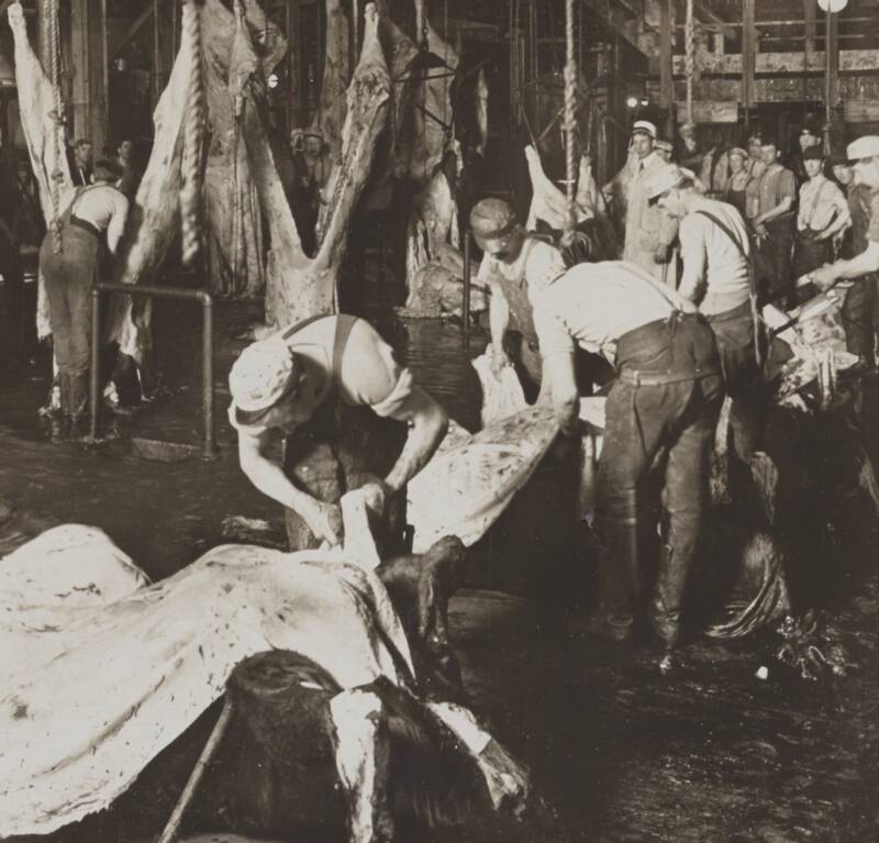 Dropping Hides And Splitting Backbones