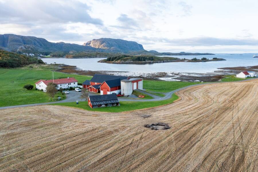 Farm Where Viking Woman Was Found