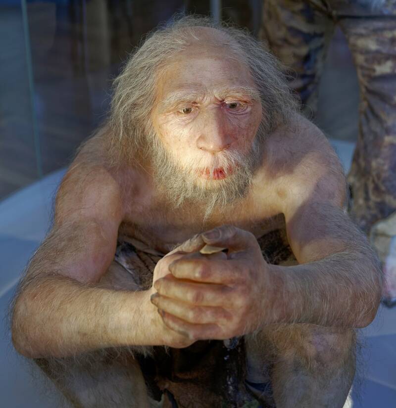 Neanderthal