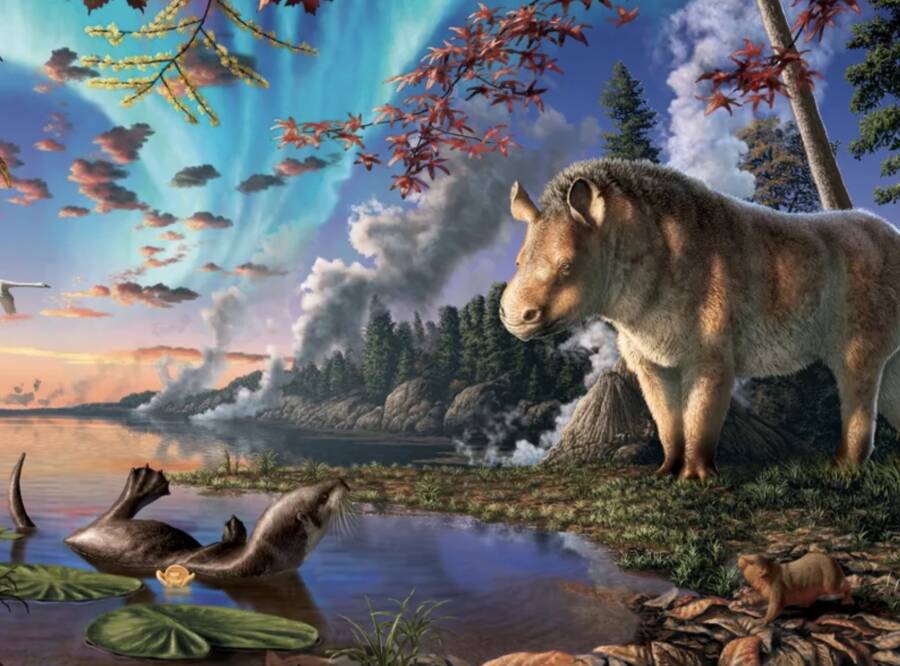 Epiaceratherium Itjilik Polar Rhino Illustration