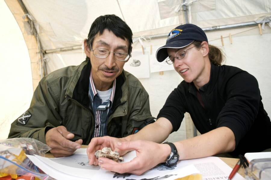 Researchers Examine Arctic Rhino Bones