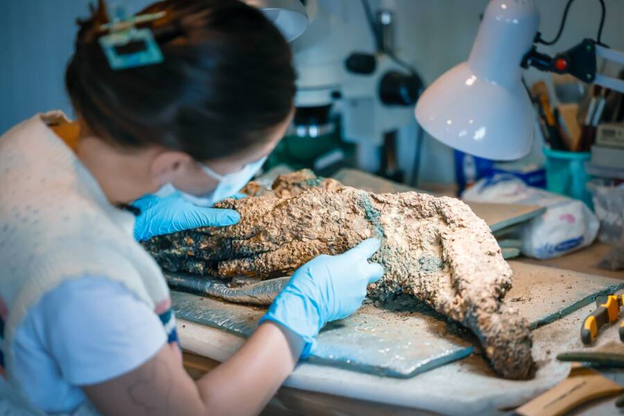 Chainmail Shirt Found At Rustavi Fortress