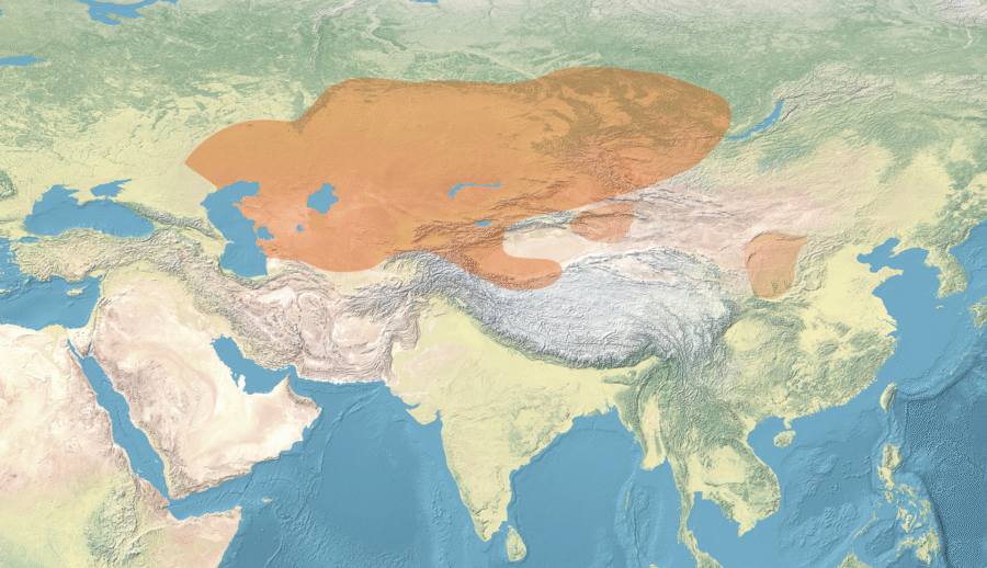 Saka Civilization Location