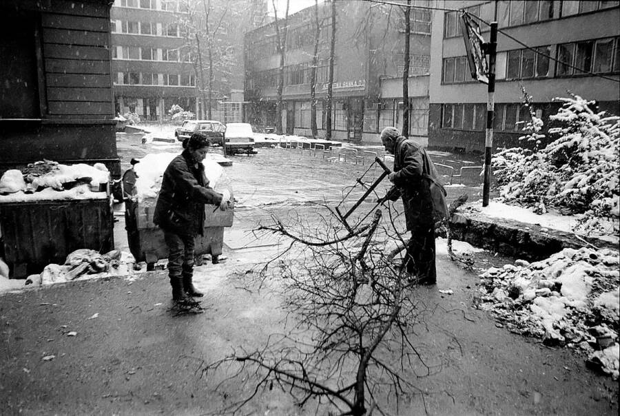 Sarajevo Siege Collecting Firewood