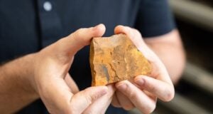 Telmatomyia Talbragarica Fossils Featured