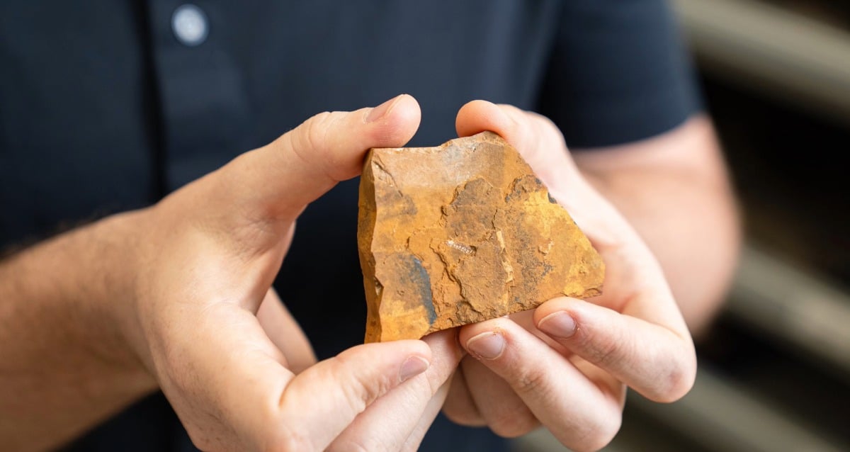 An Amateur Fossil Hunter In Australia Has Discovered A Previously Unknown Insect Species