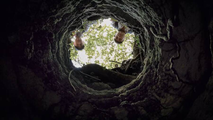 The Teenager And The Lost Maya