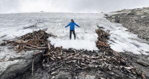 Vestland Reindeer Hunting Trap Featured