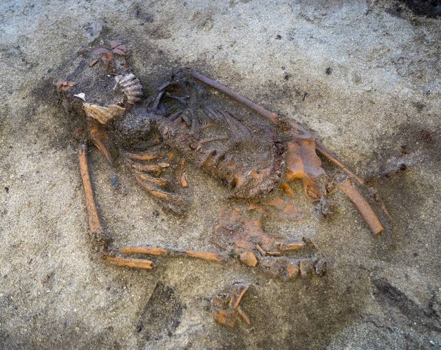 A Metal Detectorist In Norway Uncovered The 1,200-Year-Old Skeleton Of A Female Viking — Who Was Buried With Seashells On Her Mouth