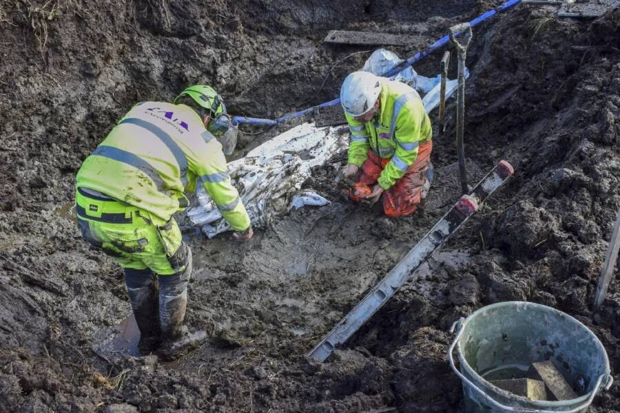 Archaeologists Excavating Bog