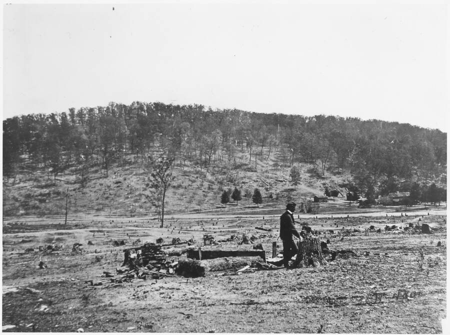 Battlefield At Chickamauga