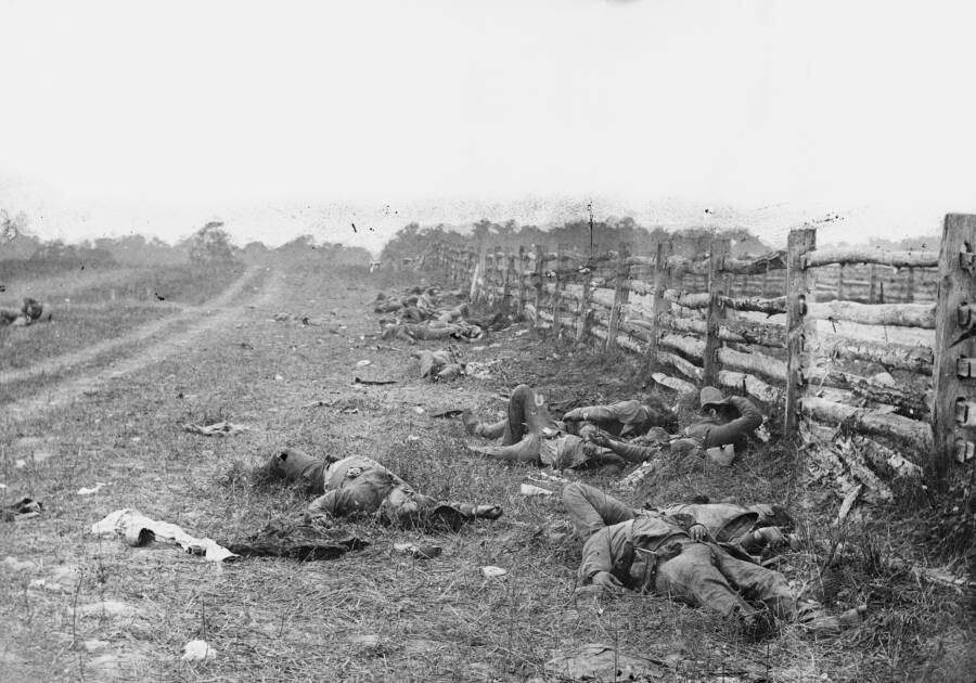 Bodies At Antietam
