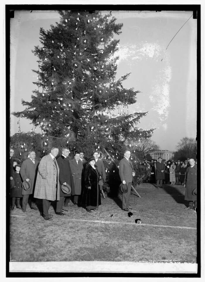 Calvin Coolidge And A Christmas Tree