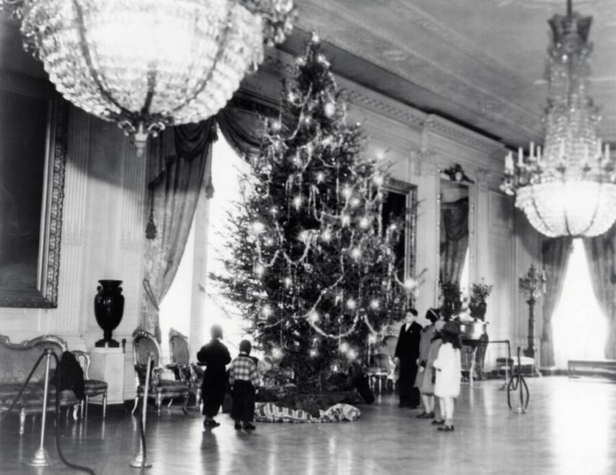 Christmas Tree In The East Room