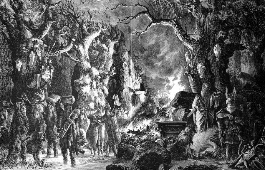 Christmas Tree History