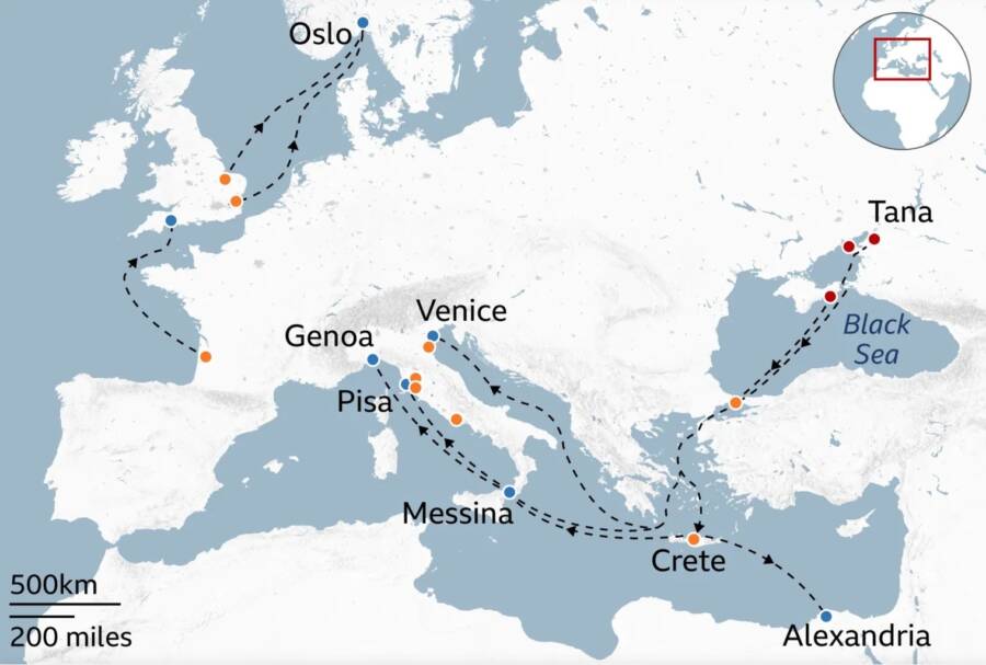 How The Black Death Spread