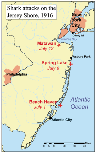 Map Of 1916 Jersey Shore Shark Attacks