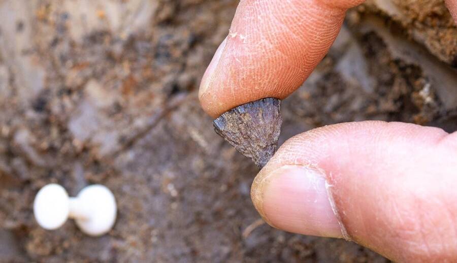 Pyrite Found In Barnham England