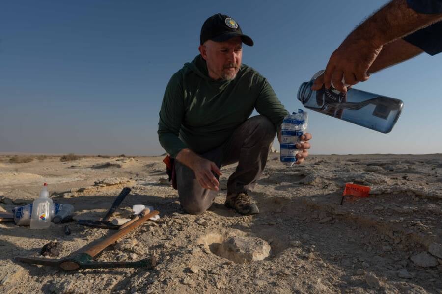 Al Maszhabiya Fossil Excavation